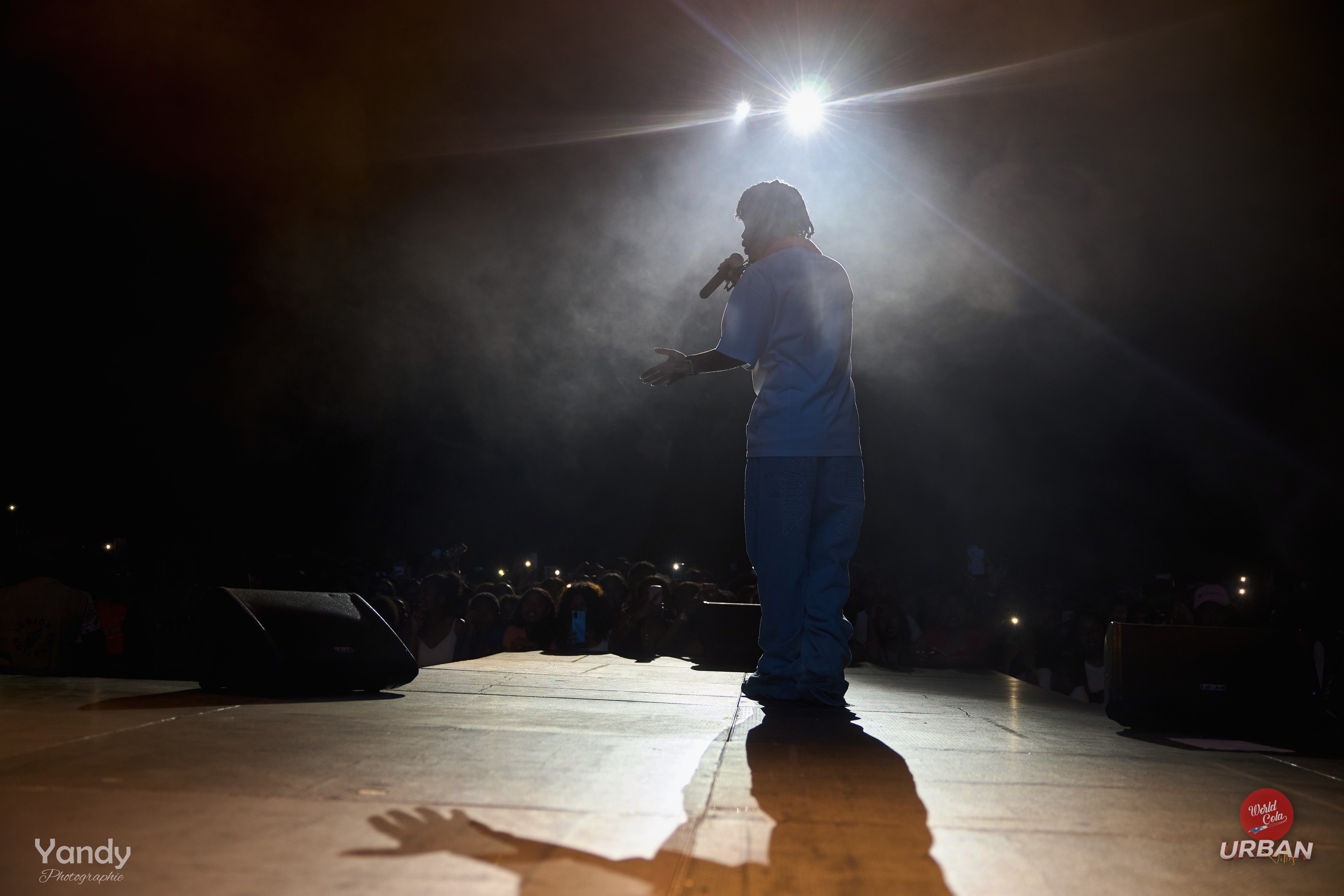 Concerts & shows artistiques